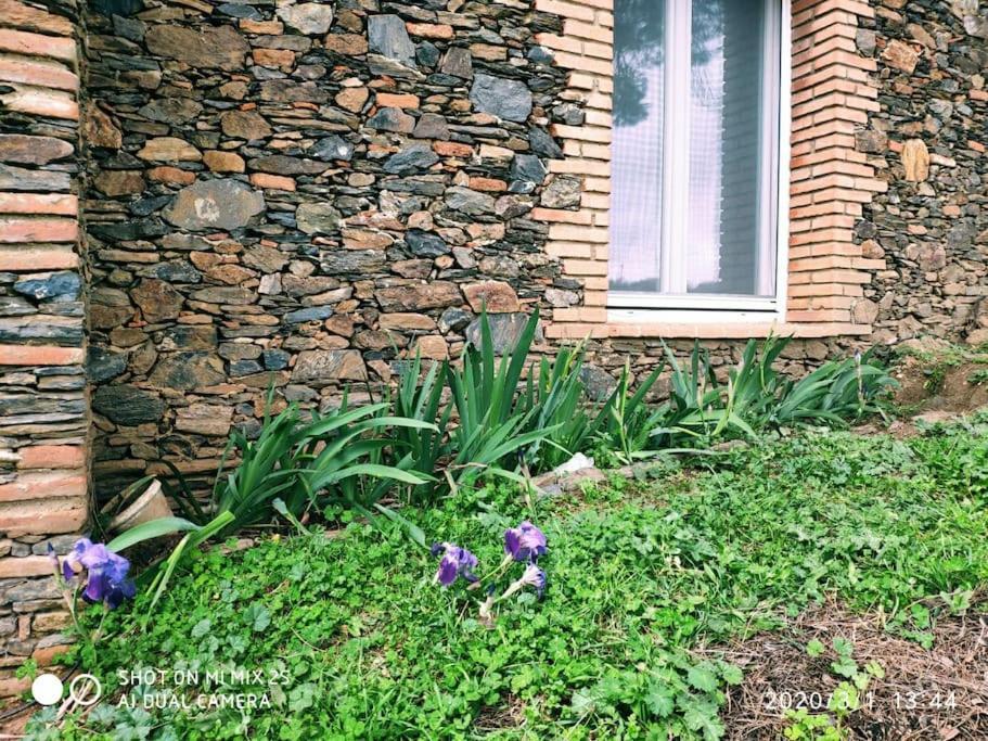 Olivae Vila Aracena Exterior foto